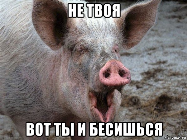 не твоя вот ты и бесишься