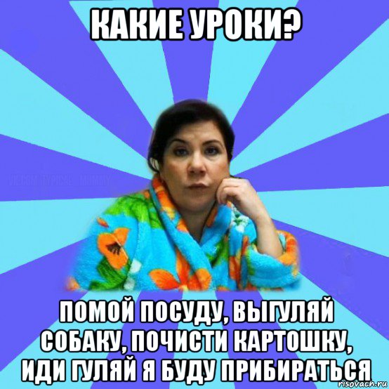 какие уроки? помой посуду, выгуляй собаку, почисти картошку, иди гуляй я буду прибираться, Мем типичная мама