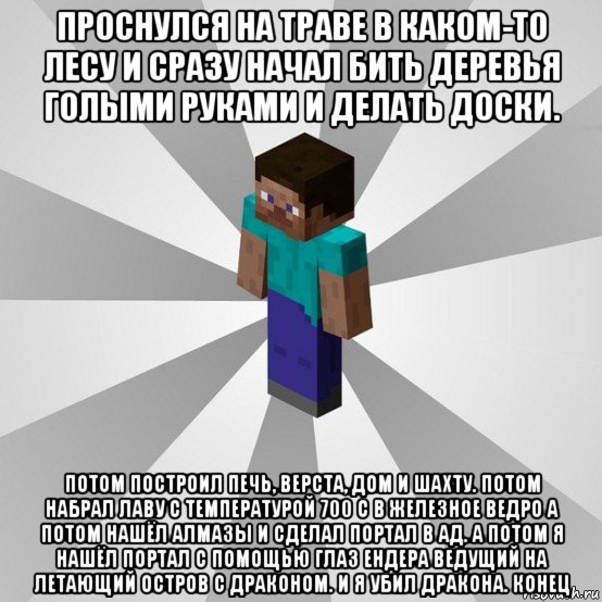 проснулся на траве в каком-то лесу и сразу начал бить деревья голыми руками и делать доски. потом построил печь, верста, дом и шахту. потом набрал лаву с температурой 700 c в железное ведро а потом нашёл алмазы и сделал портал в ад. а потом я нашёл портал с помощью глаз ендера ведущий на летающий остров с драконом. и я убил дракона. конец, Мем Типичный игрок Minecraft