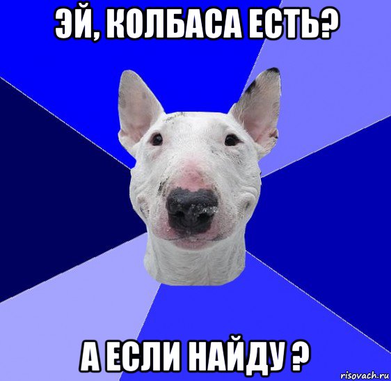 эй, колбаса есть? а если найду ?