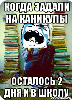 когда задали на каникулы осталось 2 дня и в школу, Мем Типовий десятикласник