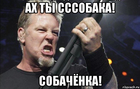 ах ты сссобака! собачёнка!, Мем То чувство когда