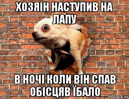 хозяін наступив на лапу в ночі коли він спав обісцяв їбало