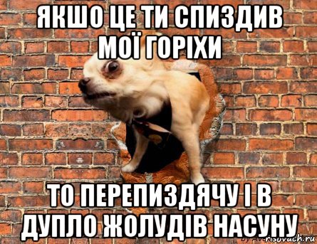 якшо це ти спиздив мої горіхи то перепиздячу і в дупло жолудів насуну