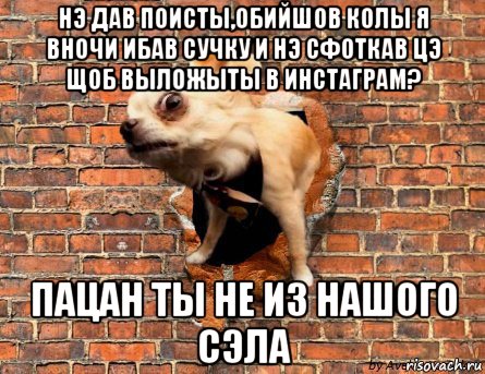 нэ дав поисты,обийшов колы я вночи ибав сучку и нэ сфоткав цэ щоб выложыты в инстаграм? пацан ты не из нашого сэла
