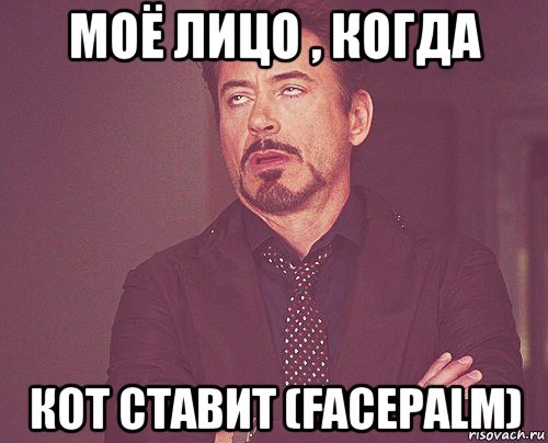 моё лицо , когда кот ставит (facepalm), Мем твое выражение лица