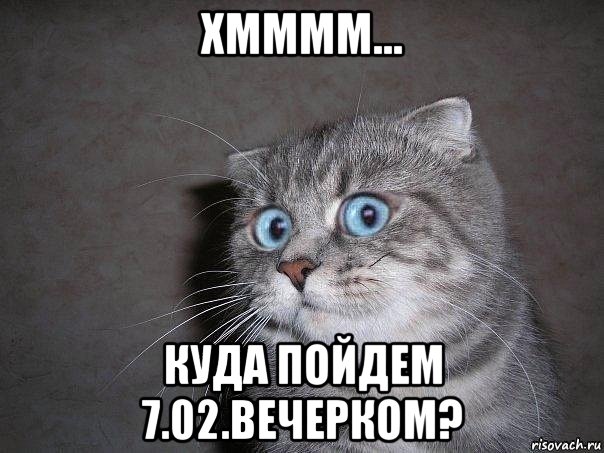 хмммм... куда пойдем 7.02.вечерком?, Мем  удивлённый кот