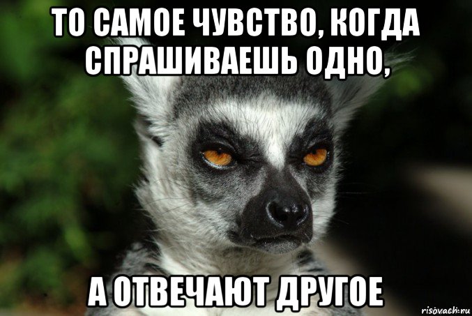 то самое чувство, когда спрашиваешь одно, а отвечают другое, Мем   Я збагоен