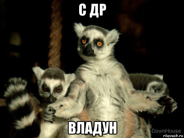 с др владун