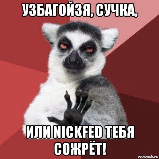 узбагойзя, сучка, или nickfed тебя сожрёт!, Мем Узбагойзя