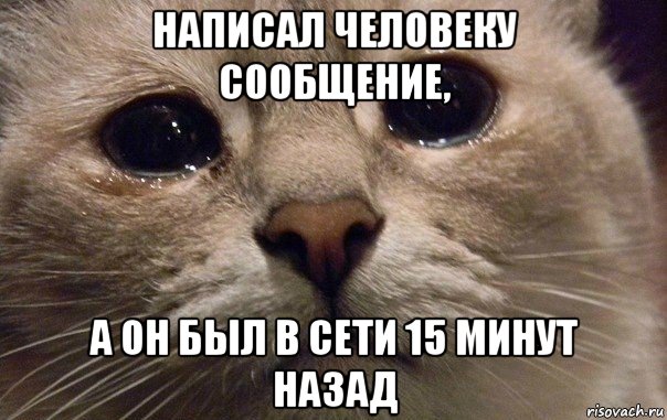 написал человеку сообщение, а он был в сети 15 минут назад, Мем   В мире грустит один котик