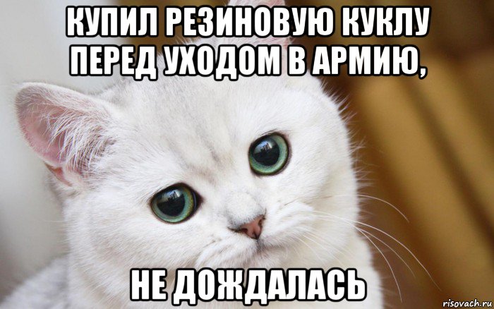 купил резиновую куклу перед уходом в армию, не дождалась, Мем  В мире грустит один котик