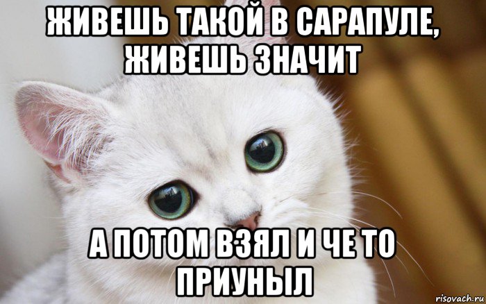 живешь такой в сарапуле, живешь значит а потом взял и че то приуныл, Мем  В мире грустит один котик