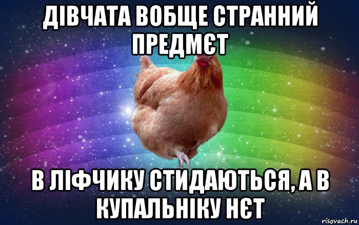 дівчата вобще странний предмєт в ліфчику стидаються, а в купальніку нєт, Мем Весела Курка