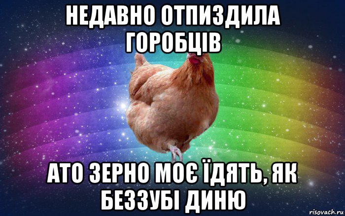 недавно отпиздила горобців ато зерно моє їдять, як беззубі диню, Мем Весела Курка