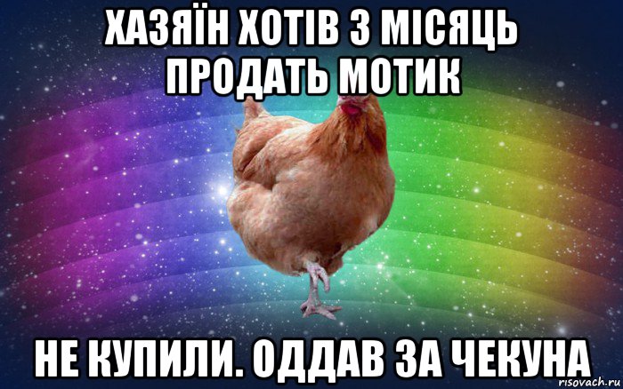 хазяїн хотів з місяць продать мотик не купили. оддав за чекуна, Мем Весела Курка