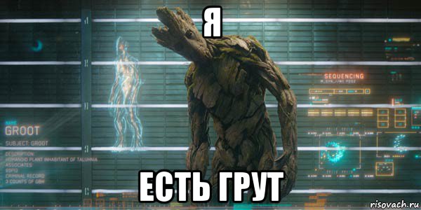 я есть грут, Мем Я Грут