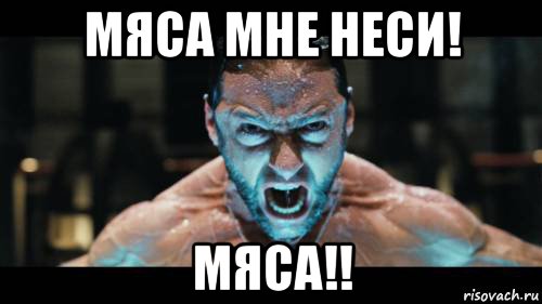 мяса мне неси! мяса!!, Мем Ярость росомахи