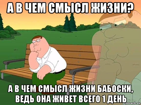 а в чем смысл жизни? а в чем смысл жизни бабоски, ведь она живет всего 1 день, Мем Задумчивый Гриффин