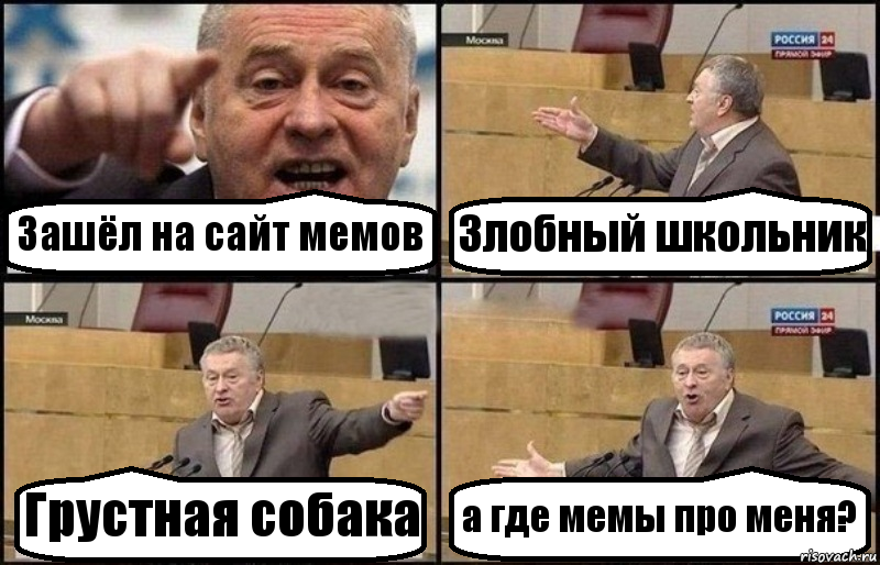 Зашёл на сайт мемов Злобный школьник Грустная собака а где мемы про меня?, Комикс Жириновский