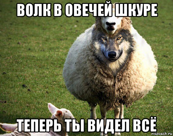 волк в овечей шкуре теперь ты видел всё, Мем Злая Овца