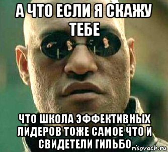 а что если я скажу тебе что школа эффективных лидеров тоже самое что и свидетели гильбо