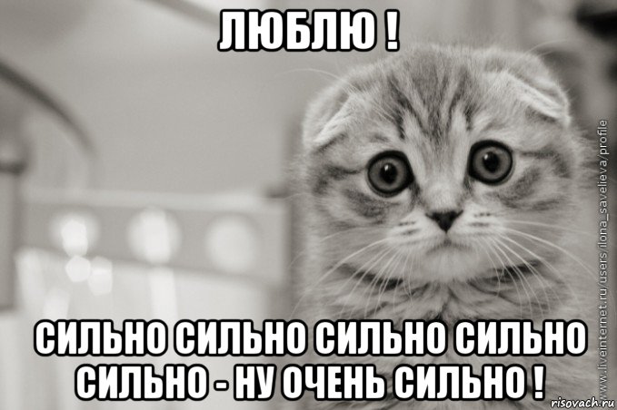 люблю ! сильно сильно сильно сильно сильно - ну очень сильно !