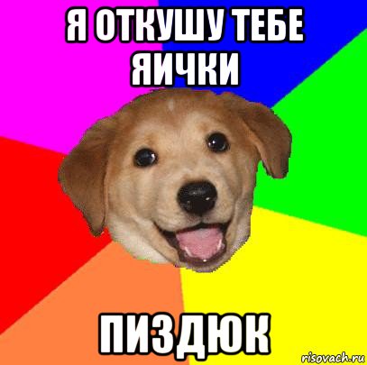 я откушу тебе яички пиздюк, Мем Advice Dog