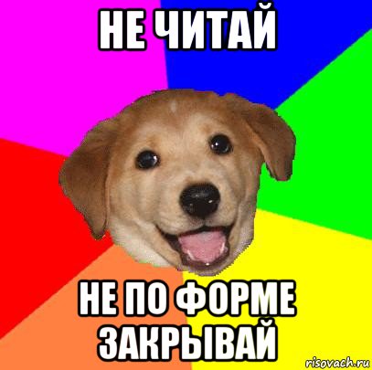 не читай не по форме закрывай, Мем Advice Dog