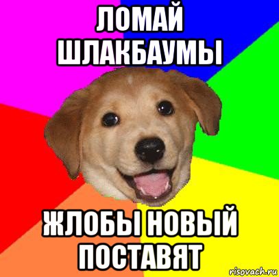 ломай шлакбаумы жлобы новый поставят, Мем Advice Dog