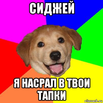 сиджей я насрал в твои тапки, Мем Advice Dog