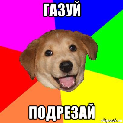 газуй подрезай, Мем Advice Dog