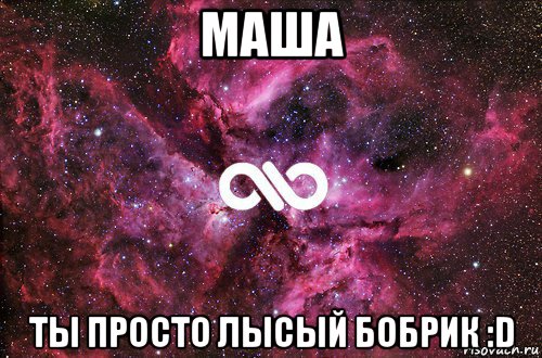 маша ты просто лысый бобрик :d, Мем офигенно