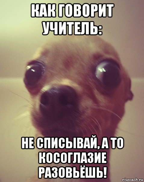 как говорит учитель: не списывай, а то косоглазие разовьёшь!, Мем  Аргументный аргумент