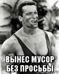  вынес мусор без просьбы, Мем  Арнольд Шварценеггер с сигарой