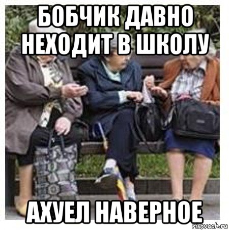 бобчик давно неходит в школу ахуел наверное, Мем Бабушки