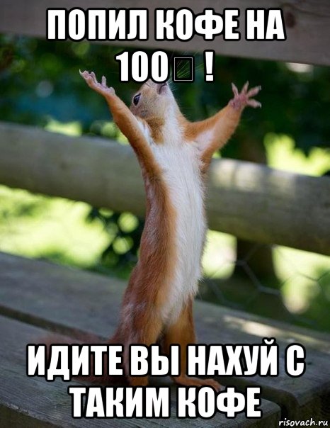 попил кофе на 100€ ! идите вы нахуй с таким кофе, Мем    белка молится