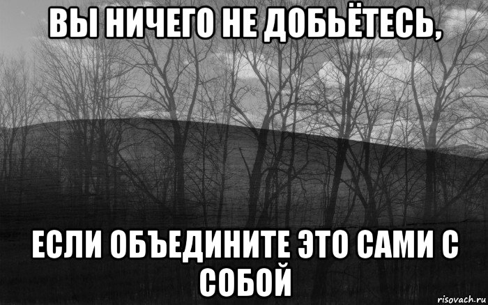 вы ничего не добьётесь, если объедините это сами с собой, Мем безысходность лес