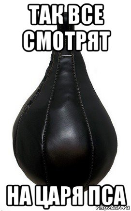 так все смотрят на царя пса