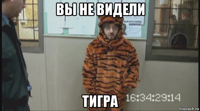 вы не видели тигра, Мем Бородач в костюме тигра (Наша Раша)