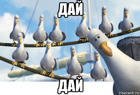 дай дай