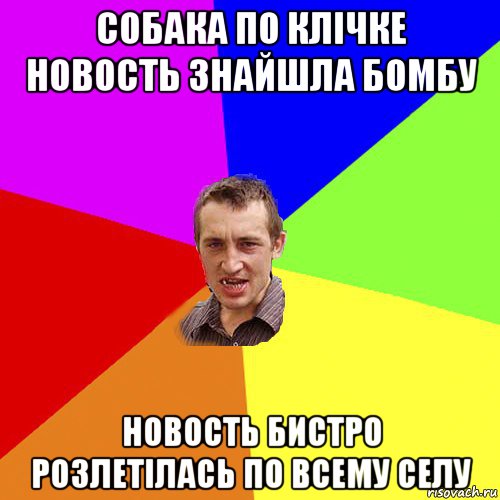 собака по клічке новость знайшла бомбу новость бистро розлетілась по всему селу, Мем Чоткий паца