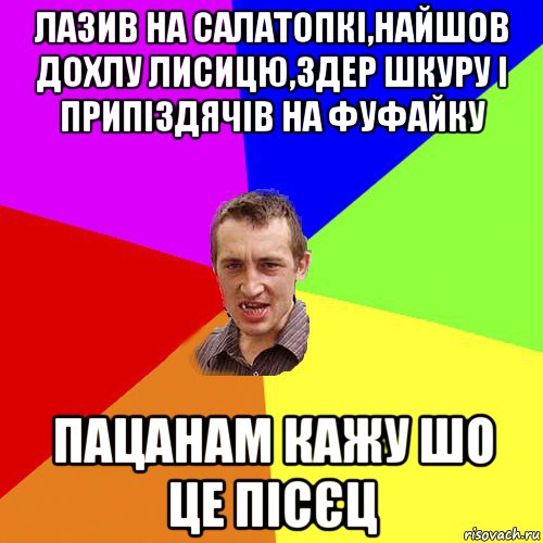 лазив на салатопкі,найшов дохлу лисицю,здер шкуру і припіздячів на фуфайку пацанам кажу шо це пісєц, Мем Чоткий паца