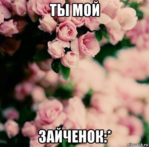 ты мой зайченок:*, Мем цветы