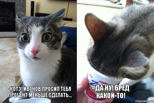 -Котэ! Иванов просил тебя процент меньше сделать... - Да ну! Бред какой-то!, Комикс  Да не бред-какой-то (2 зоны)