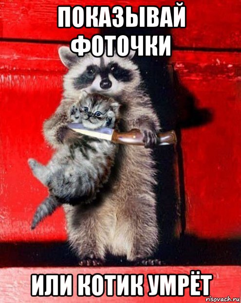 показывай фоточки или котик умрёт, Мем Дай бизнес-аналитика или мы убье