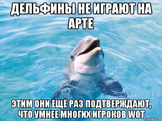 дельфины не играют на арте этим они ещё раз подтверждают, что умнее многих игроков wot, Мем Дельфин