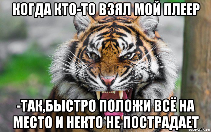 когда кто-то взял мой плеер -так,быстро положи всё на место и некто не пострадает