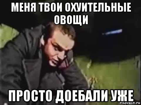 меня твои охуительные овощи просто доебали уже