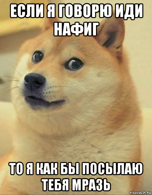 если я говорю иди нафиг то я как бы посылаю тебя мразь, Мем doge woof